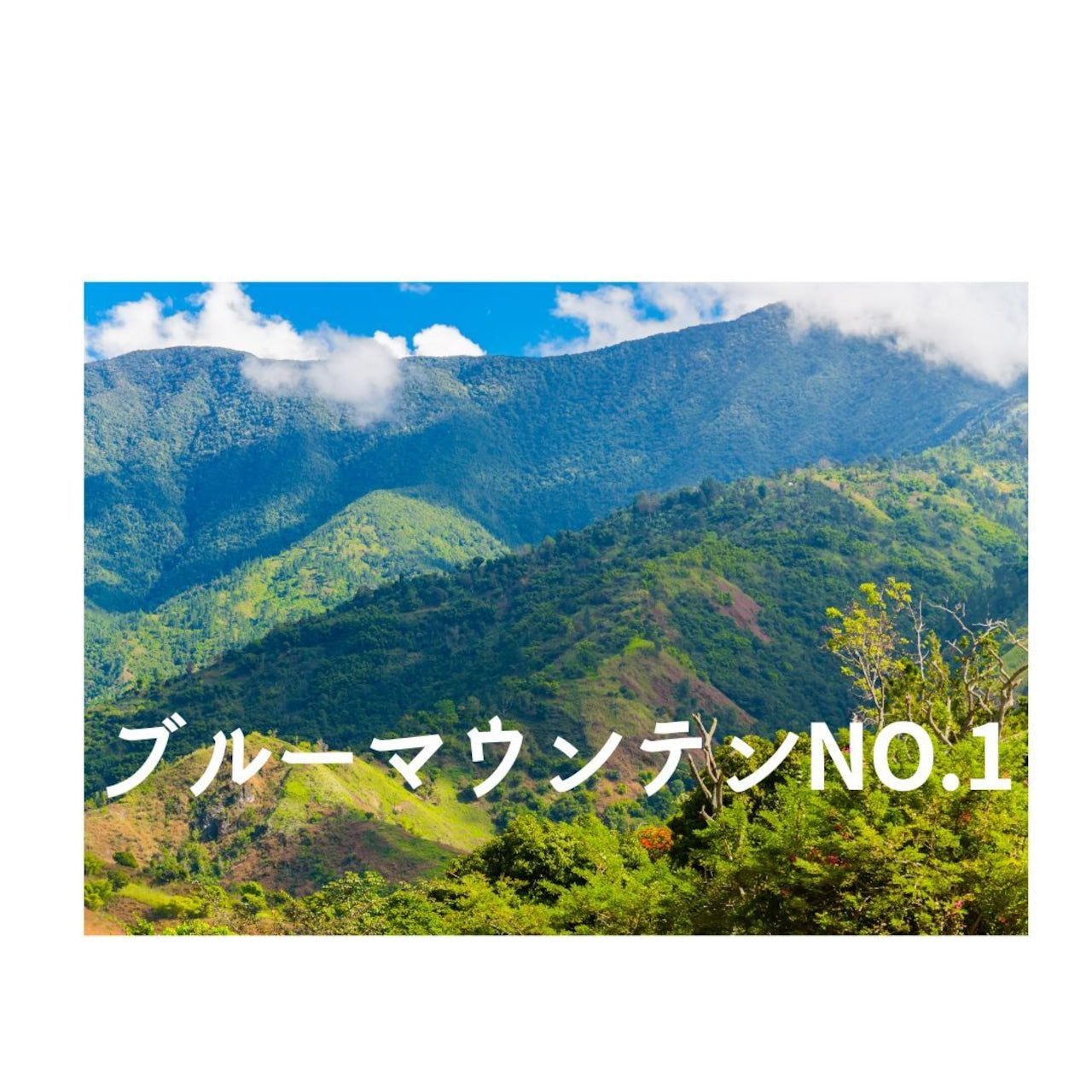 ブルーマウンテンNo.1 150g【岳山珈琲】