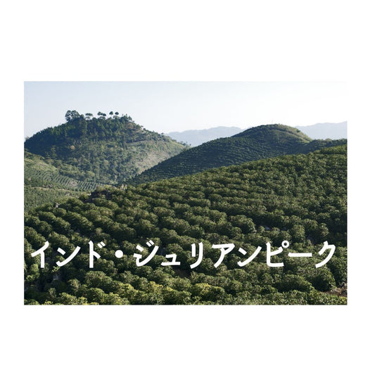 インド APAA ジュリアンピーク農園  深煎り【岳山珈琲】