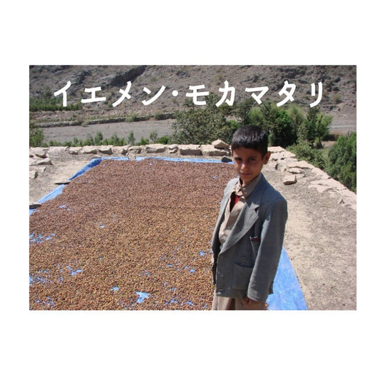 イエメン・モカ・マタリ 中煎り【岳山珈琲】