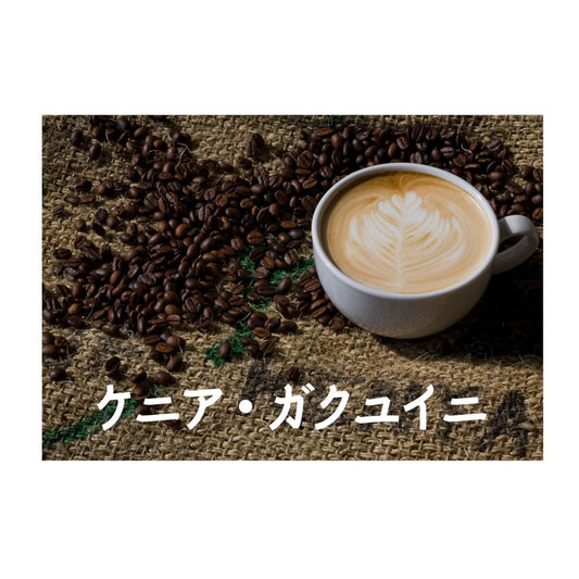 ケニア ･ガクユイニ  深煎り【岳山珈琲】