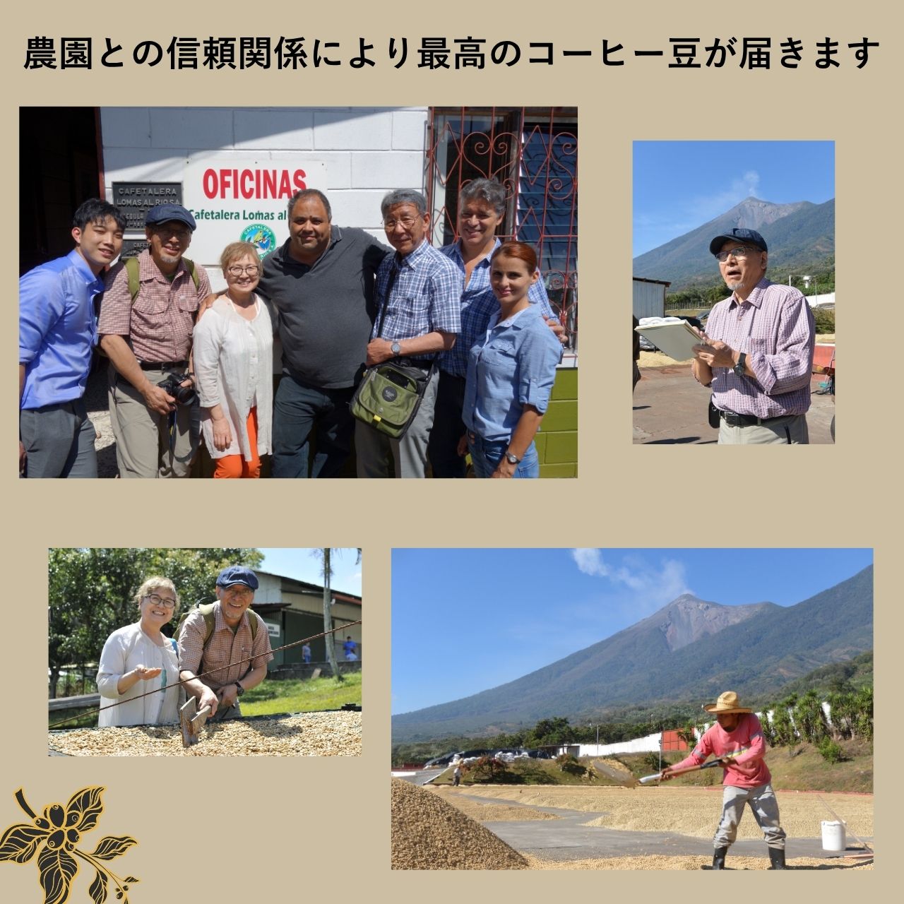 マイルドブレンド｜中煎り【岳山珈琲】