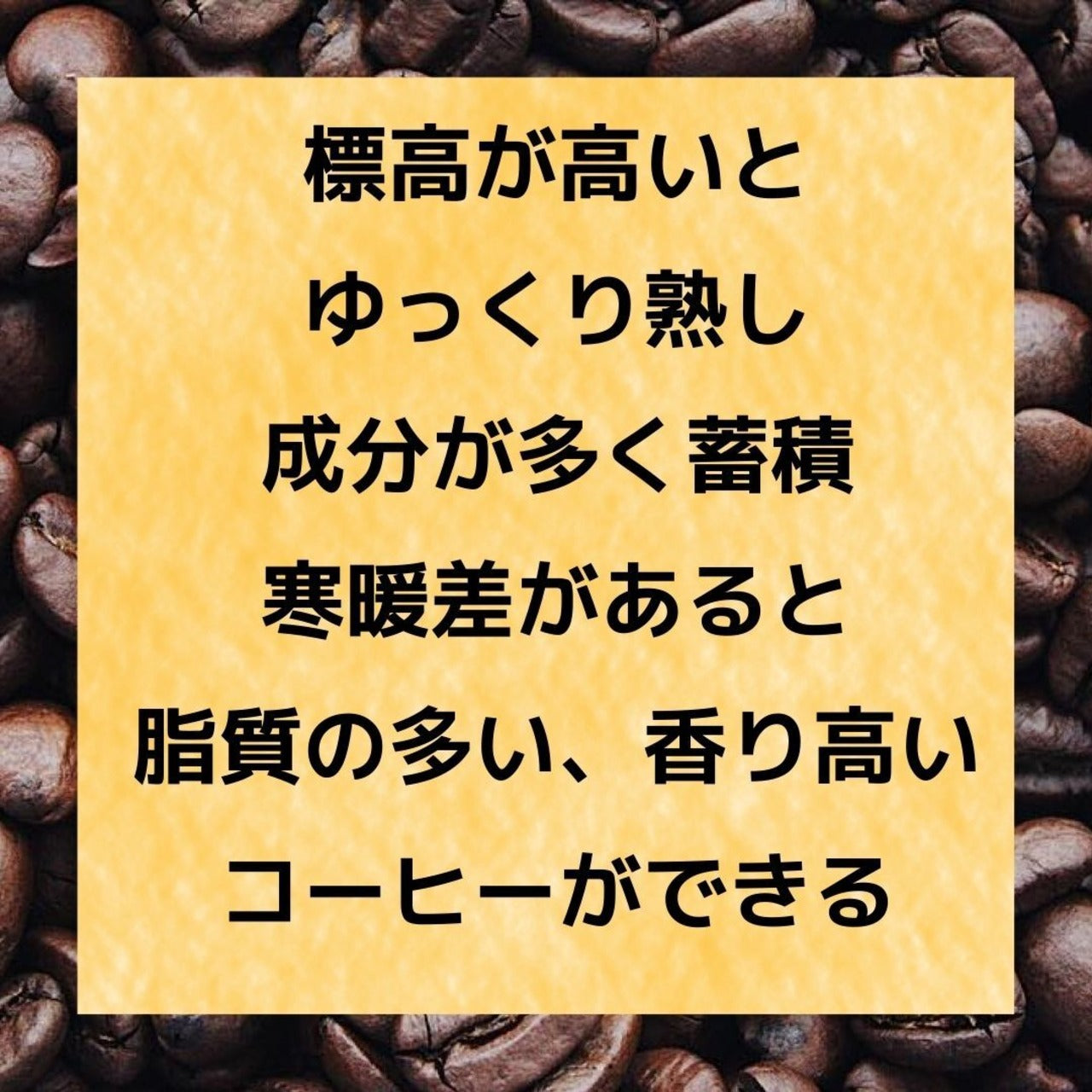 天空のカップオン：10個セット（おひとつ250円）