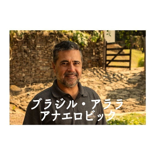 ブラジル･アララ･アナエロビック・浅煎り【岳山珈琲】