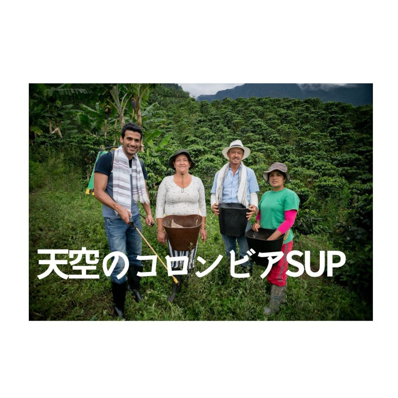 天空のコロンビア SUP 中深煎り【岳山珈琲】