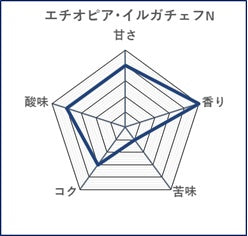 エチオピア・イルガチェフN G1・浅煎り【岳山珈琲】