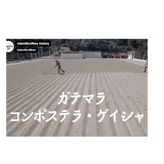 ガテマラ･コンポステラ･ゲイシャ 中煎り【岳山珈琲】