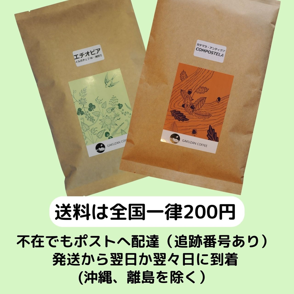 エチオピア・イルガチェフ 中煎り｜華やかな香りとやさしい甘さ｜岳山珈琲